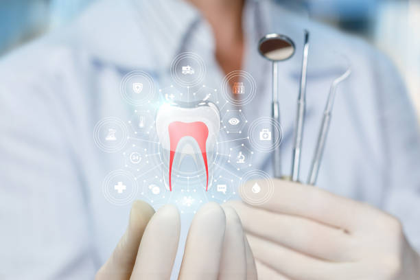 Best Preventive Dentistry  in Brock Hall, MD